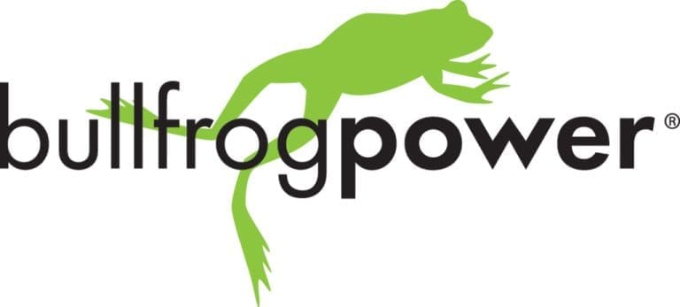 Bullfrog_Power